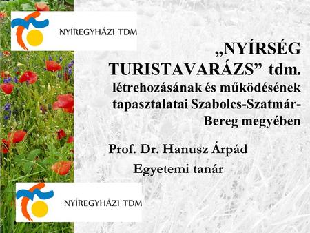 Prof. Dr. Hanusz Árpád Egyetemi tanár