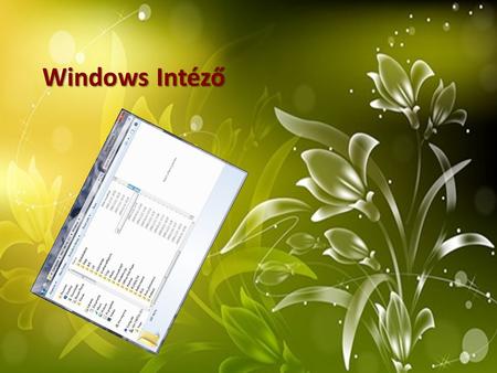 Windows Intéző.