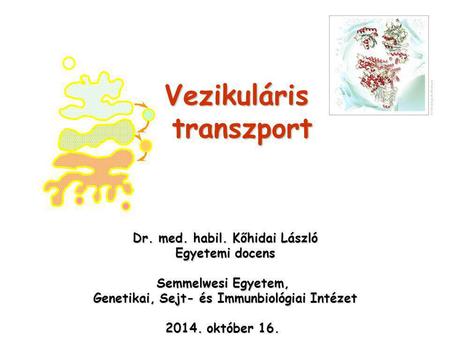 Vezikuláris transzport Dr. med. habil. Kőhidai László Egyetemi docens Semmelwesi Egyetem, Genetikai, Sejt- és Immunbiológiai Intézet 2014. október 16.