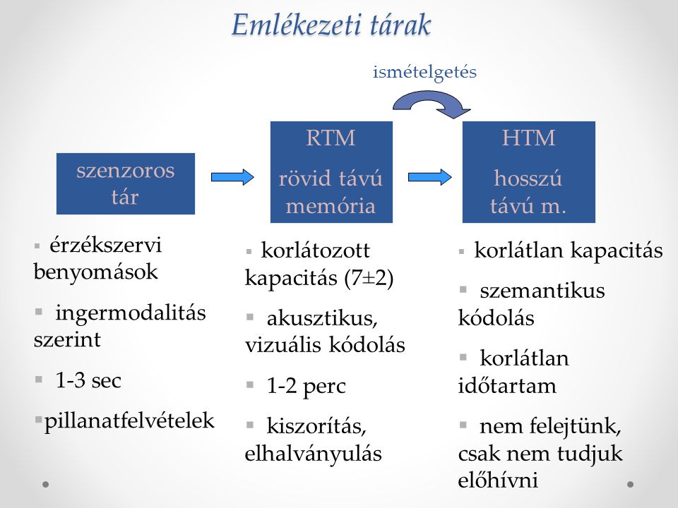 Emlékezeti tárak RTM rövid távú memória HTM hosszú távú m.