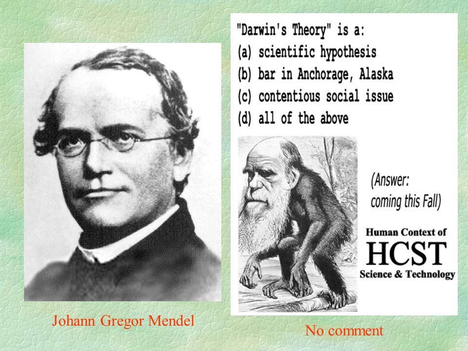 Johann Gregor Mendel No comment