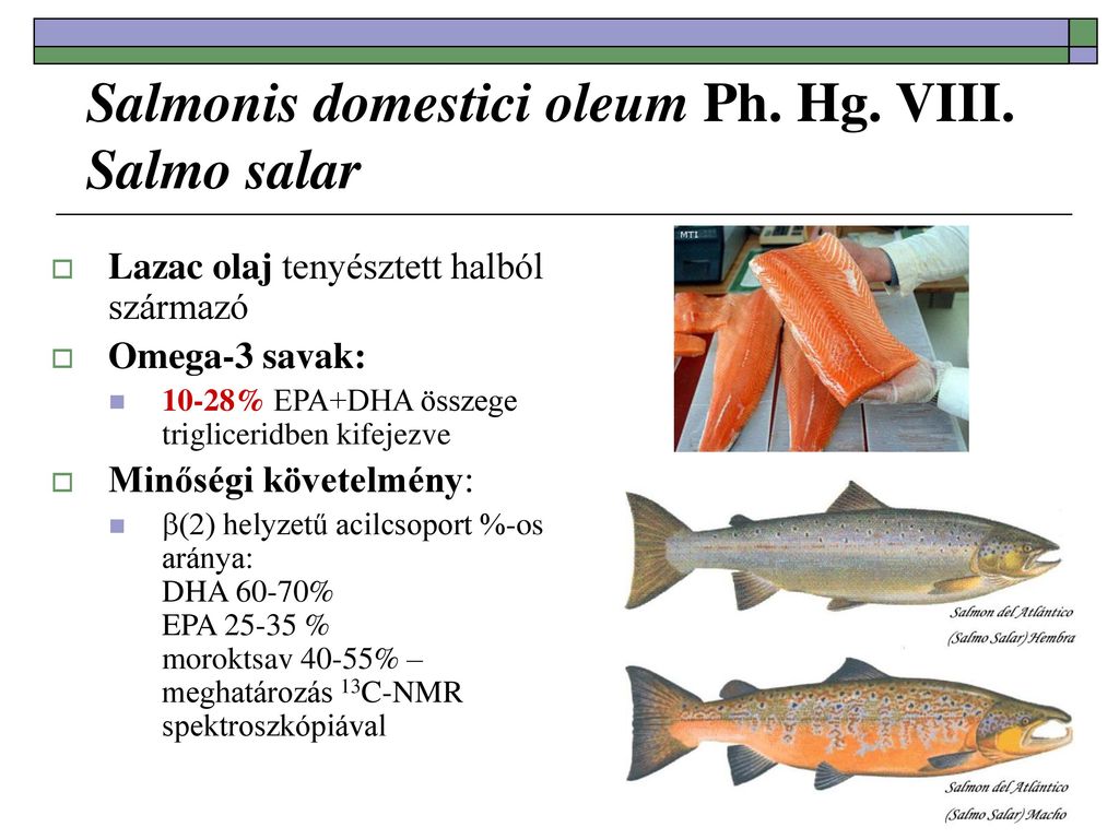 Salmonis domestici oleum Ph. Hg. VIII. Salmo salar