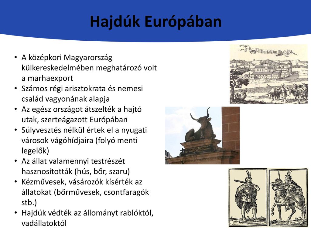 Hajdúk Európában A középkori Magyarország külkereskedelmében meghatározó volt a marhaexport.