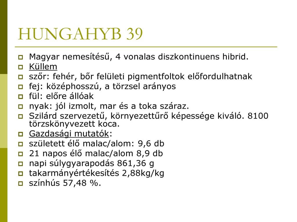 HUNGAHYB 39 Magyar nemesítésű, 4 vonalas diszkontinuens hibrid. Küllem