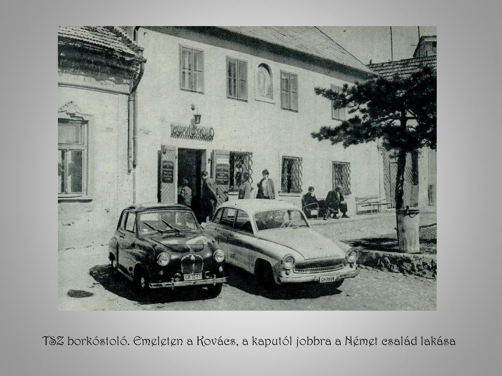 TSZ borkóstoló. Emeleten a Kovács, a kaputól jobbra a Német család lakása