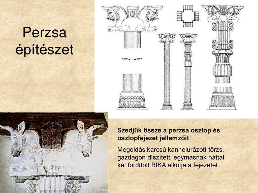 Perzsa építészet Szedjük össze a perzsa oszlop és oszlopfejezet jellemzőit!