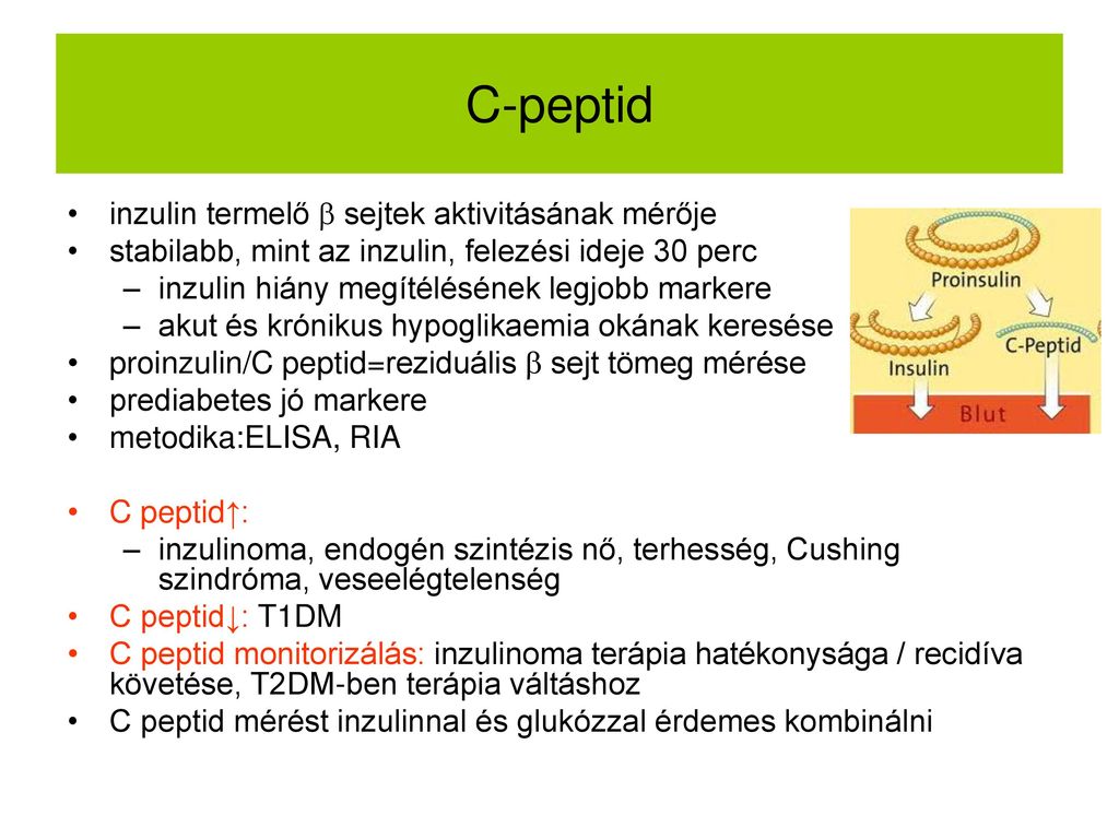 c peptid normál értéke)