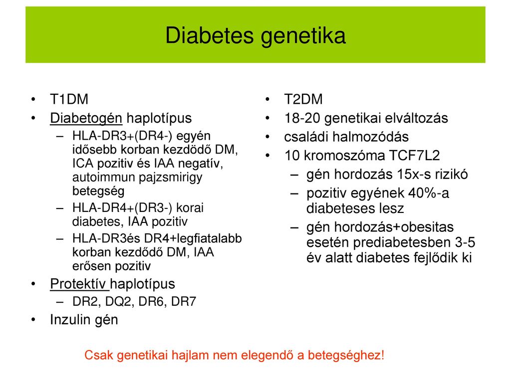 T2DM: 2-es típusú Diabetes Mellitus