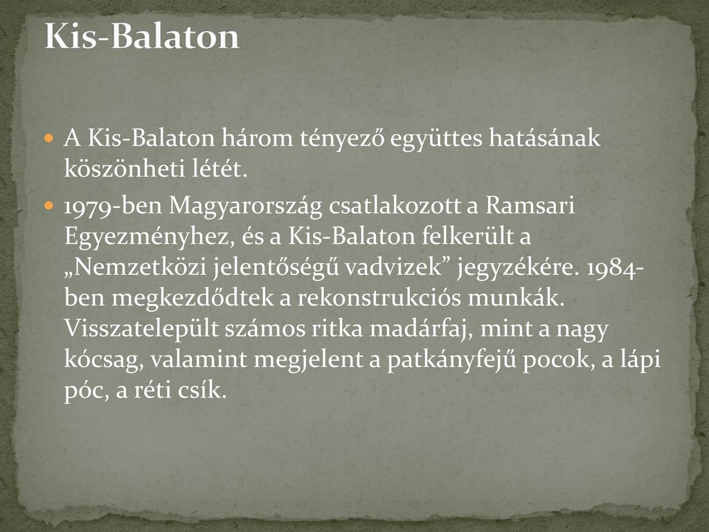 Kis-Balaton A Kis-Balaton három tényező együttes hatásának köszönheti létét.
