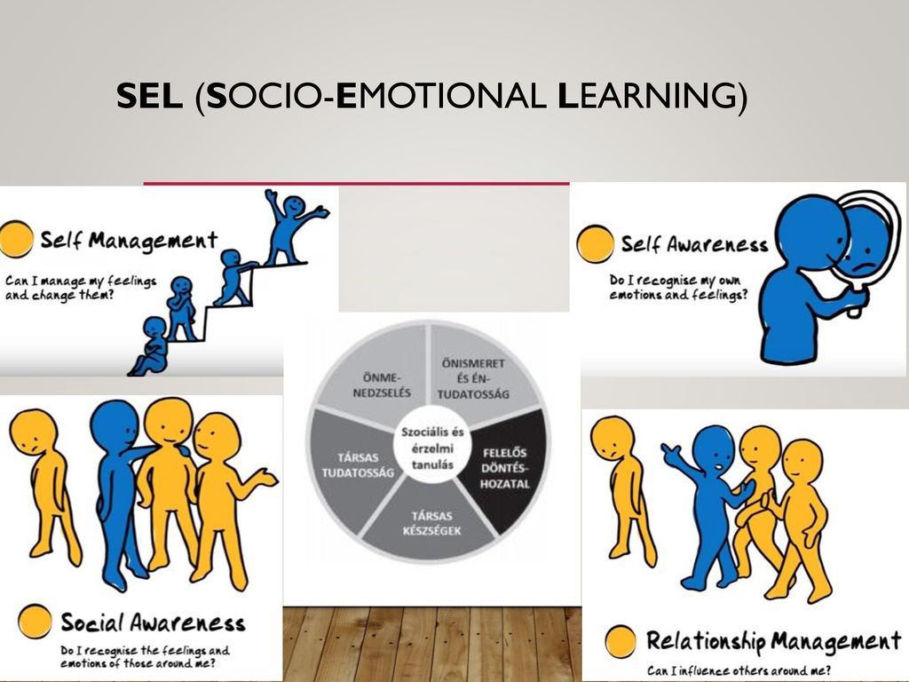 SEL (Socio-emotional learning)