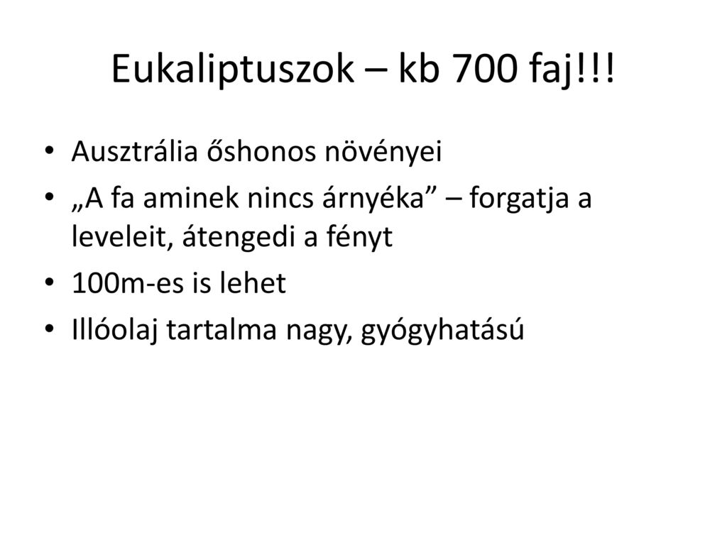 Eukaliptuszok – kb 700 faj!!! Ausztrália őshonos növényei