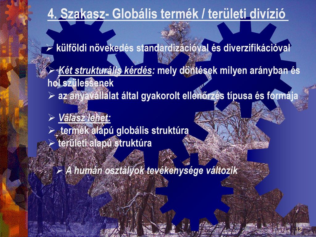 4. Szakasz- Globális termék / területi divízió
