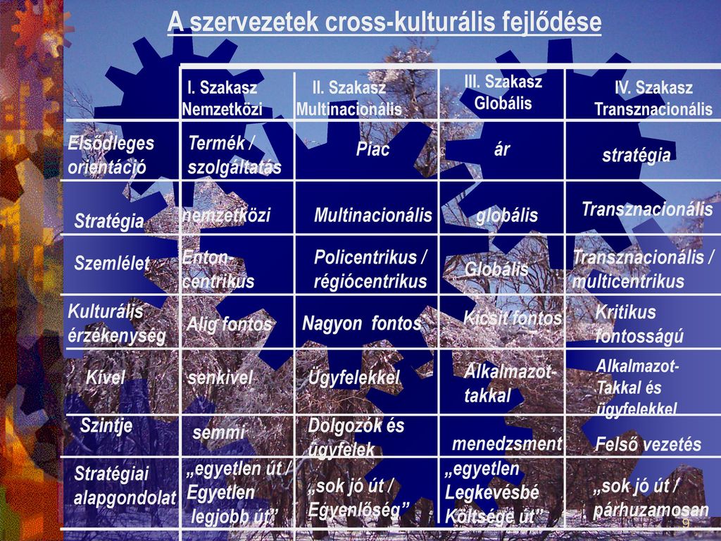 A szervezetek cross-kulturális fejlődése