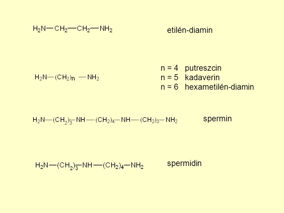 etilén-diamin n = 4 putreszcin n = 5 kadaverin n = 6 hexametilén-diamin spermin spermidin