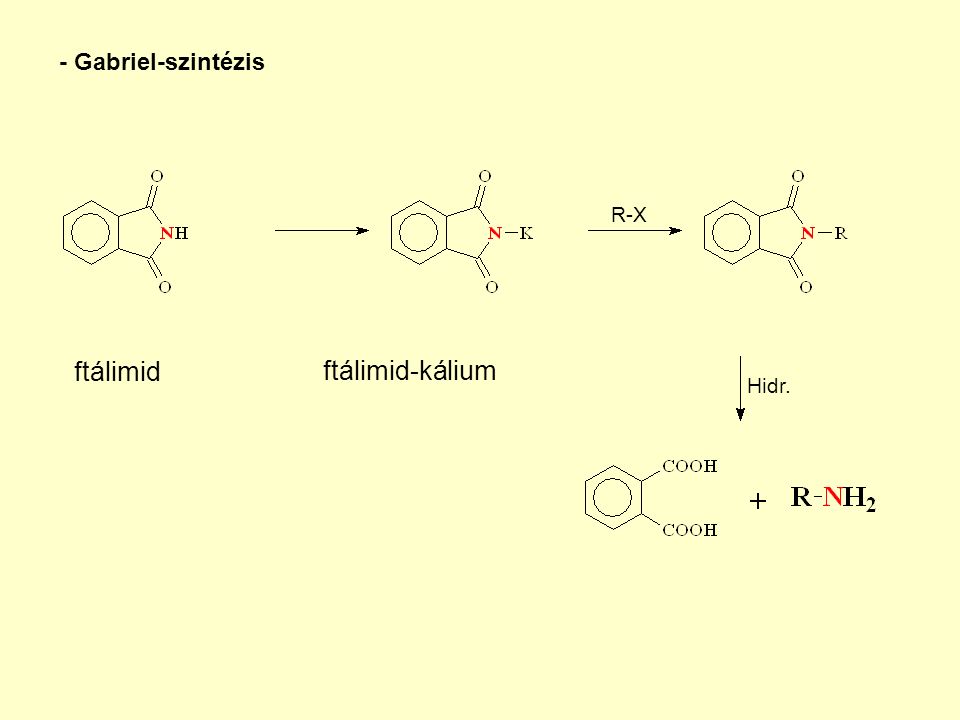 - Gabriel-szintézis ftálimid R-X ftálimid-kálium Hidr.