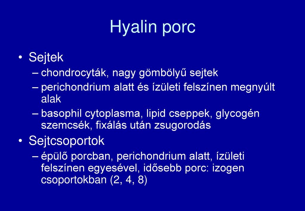 a hyaline porc kötőszövet)