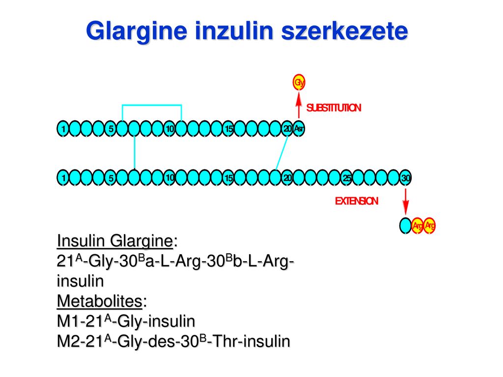 inzulin szerkezete
