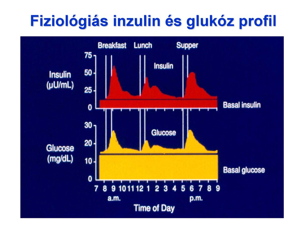 inzulin típusú diabetes mellitus kezelésére diagramok)
