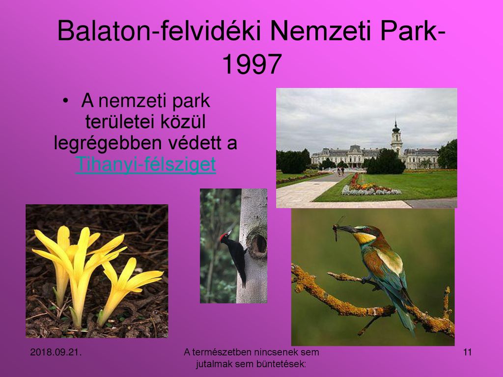 Balaton-felvidéki Nemzeti Park-1997