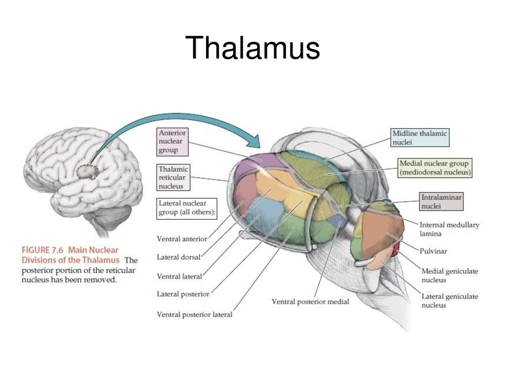 thalamus rák tünetei)