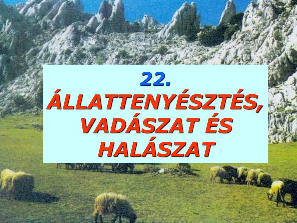 ÁLLATTENYÉSZTÉS, VADÁSZAT ÉS HALÁSZAT - Ppt Letölteni