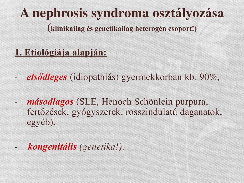 nephrosis szindróma diétája