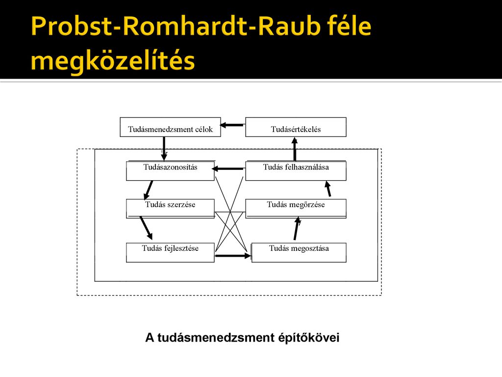 Probst-Romhardt-Raub féle megközelítés
