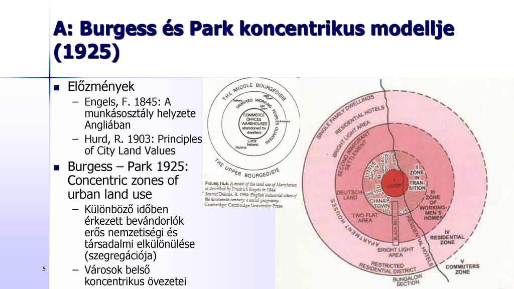 A: Burgess és Park koncentrikus modellje (1925)
