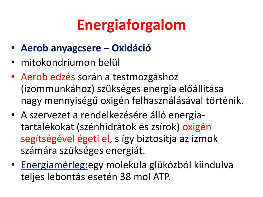 Energiaforgalom Aerob anyagcsere – Oxidáció mitokondriumon belül