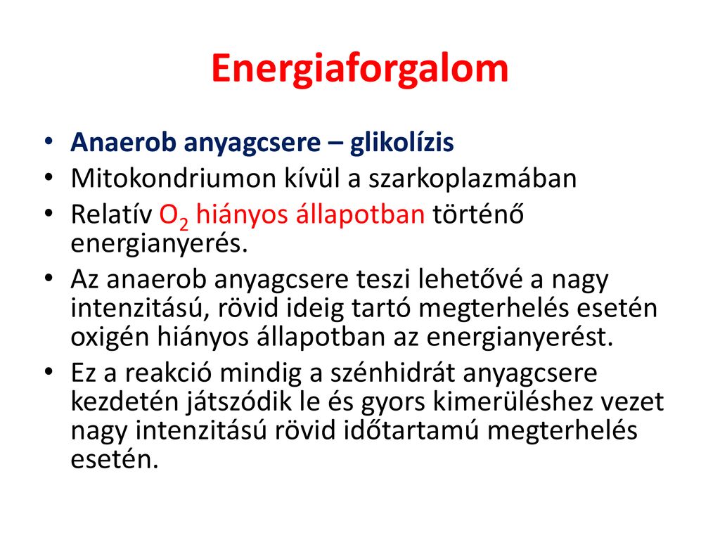 Energiaforgalom Anaerob anyagcsere – glikolízis