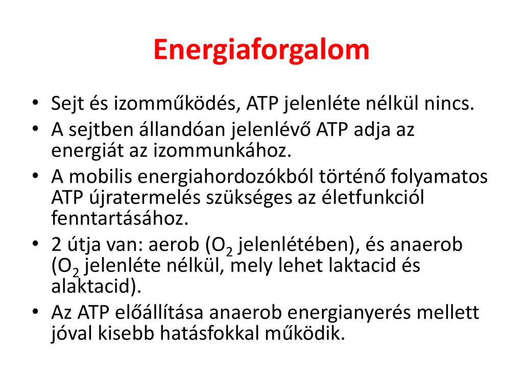 Energiaforgalom Sejt és izomműködés, ATP jelenléte nélkül nincs.