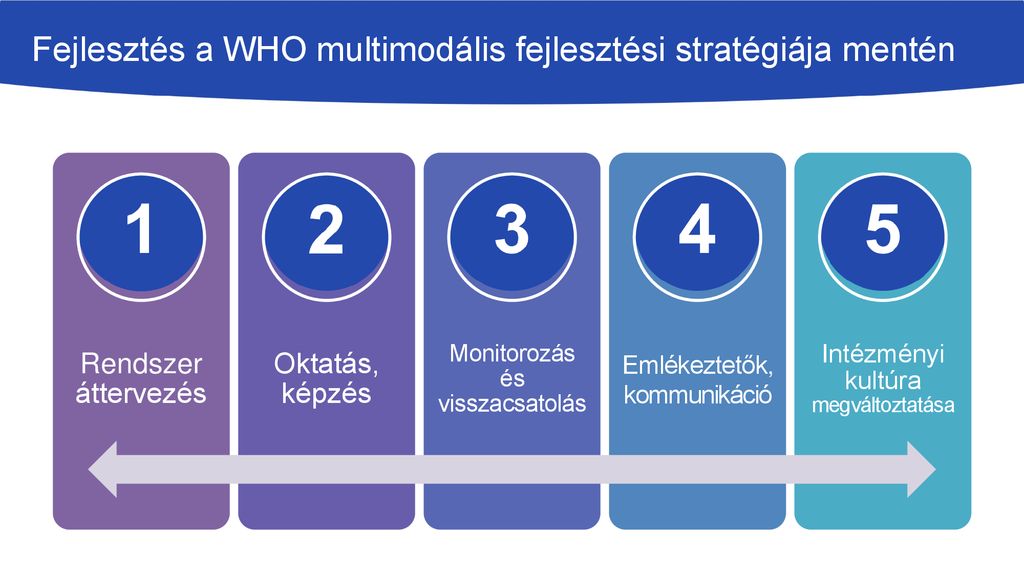 Fejlesztés a WHO multimodális fejlesztési stratégiája mentén