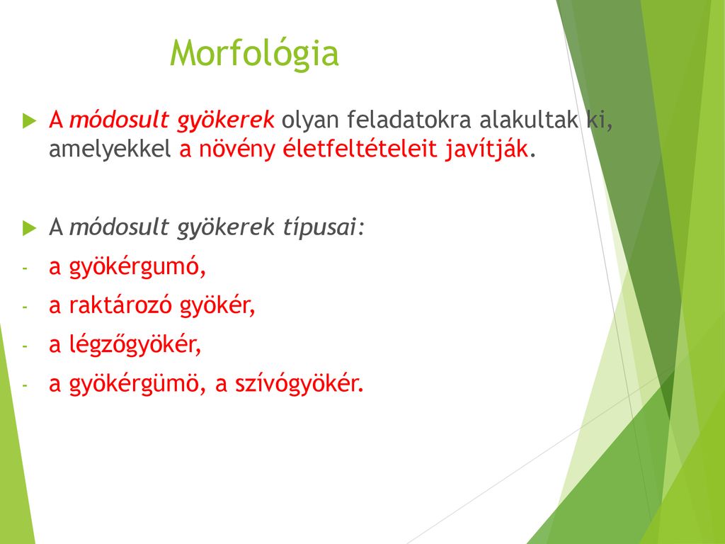 Morfológia A módosult gyökerek olyan feladatokra alakultak ki, amelyekkel a növény életfeltételeit javítják.