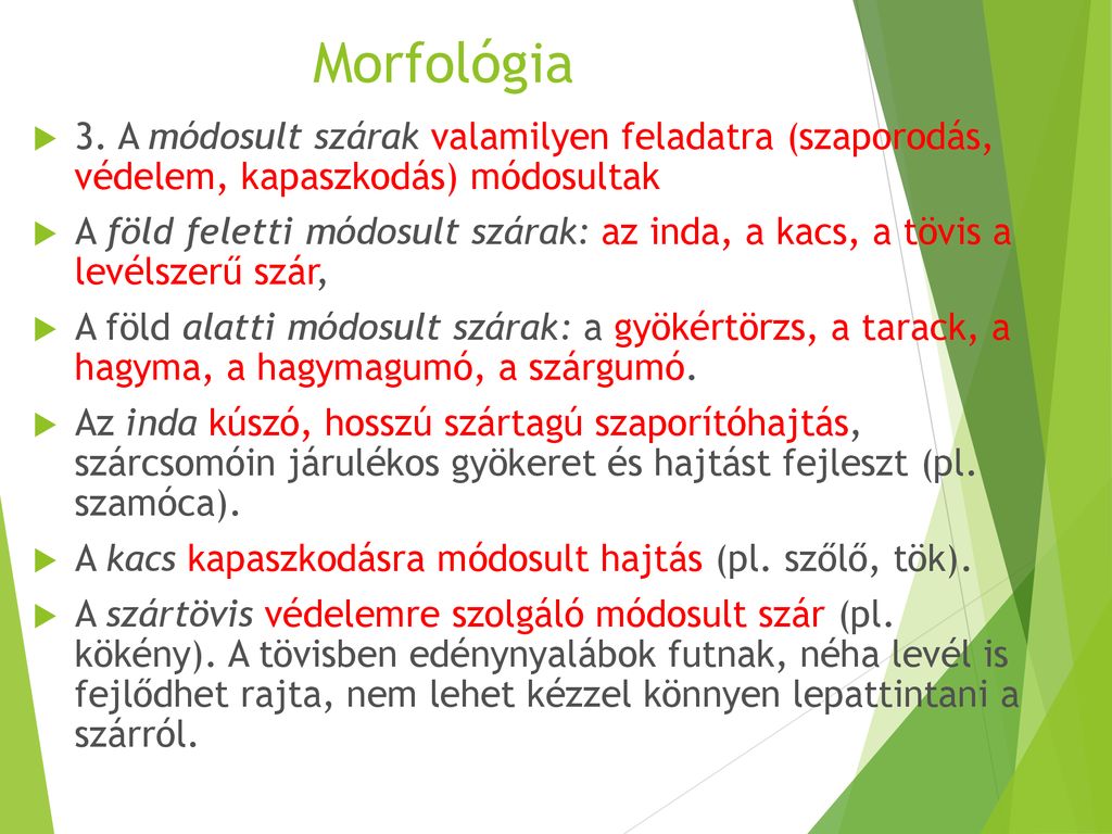 Morfológia 3. A módosult szárak valamilyen feladatra (szaporodás, védelem, kapaszkodás) módosultak.