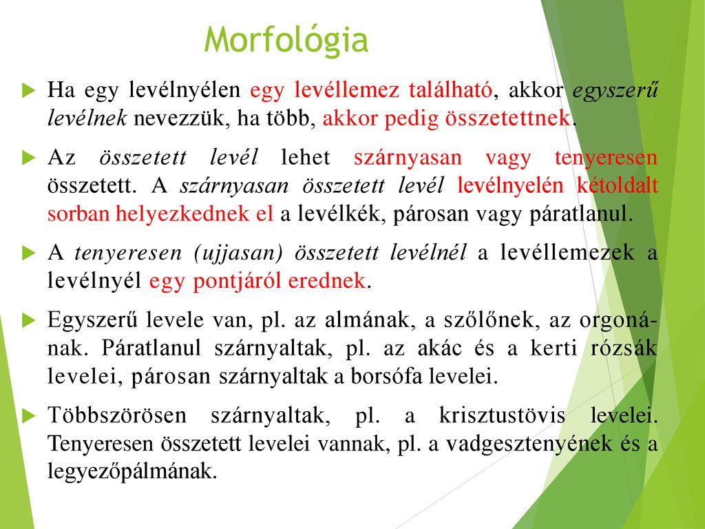 Morfológia Ha egy levélnyélen egy levéllemez található, akkor egyszerű levélnek ne­vezzük, ha több, akkor pedig összetettnek.