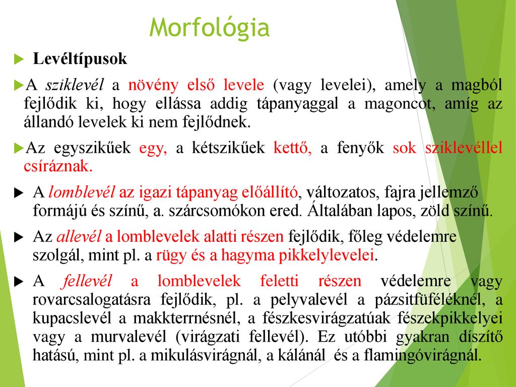 Morfológia Levéltípusok