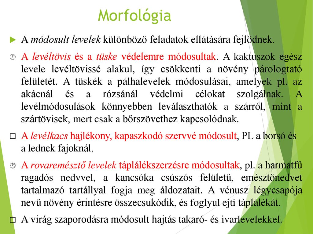 Morfológia A módosult levelek különböző feladatok ellátására fejlődnek.
