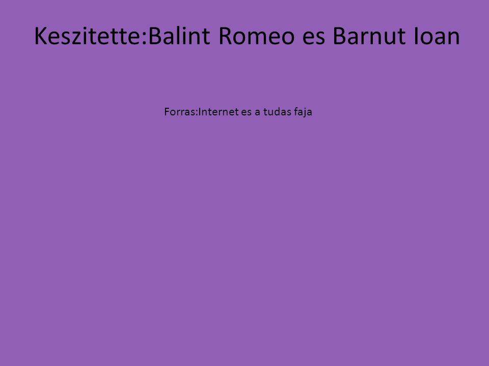 Keszitette:Balint Romeo es Barnut Ioan