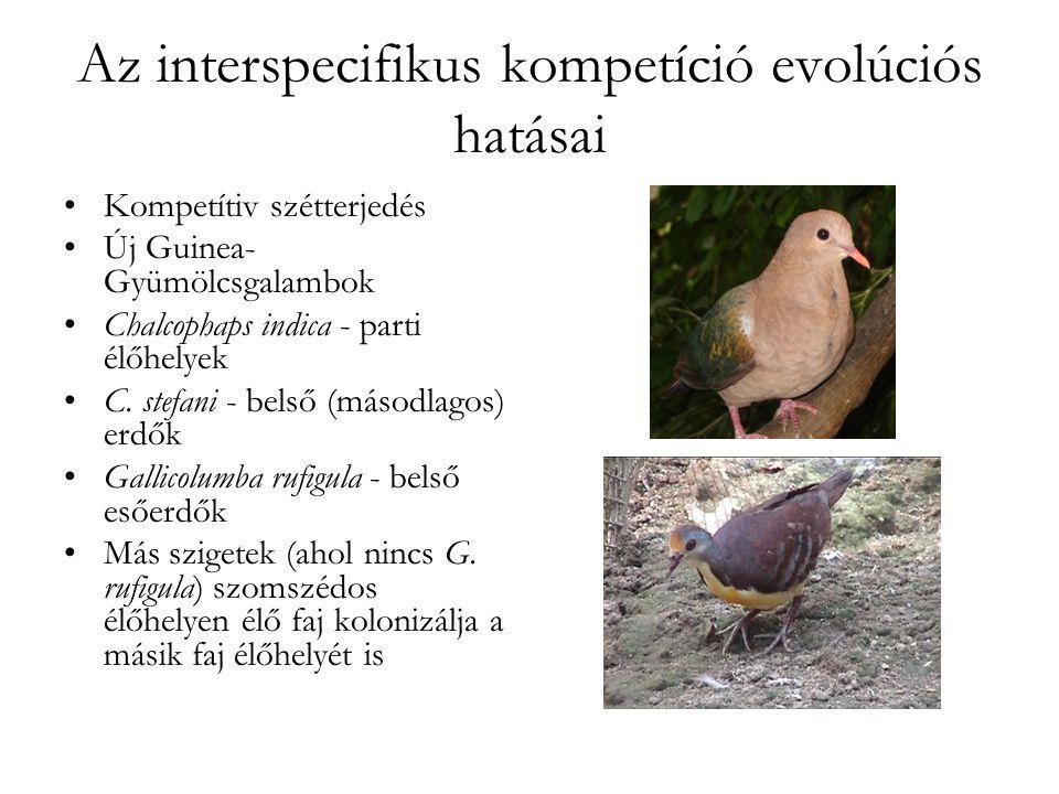 Az interspecifikus kompetíció evolúciós hatásai