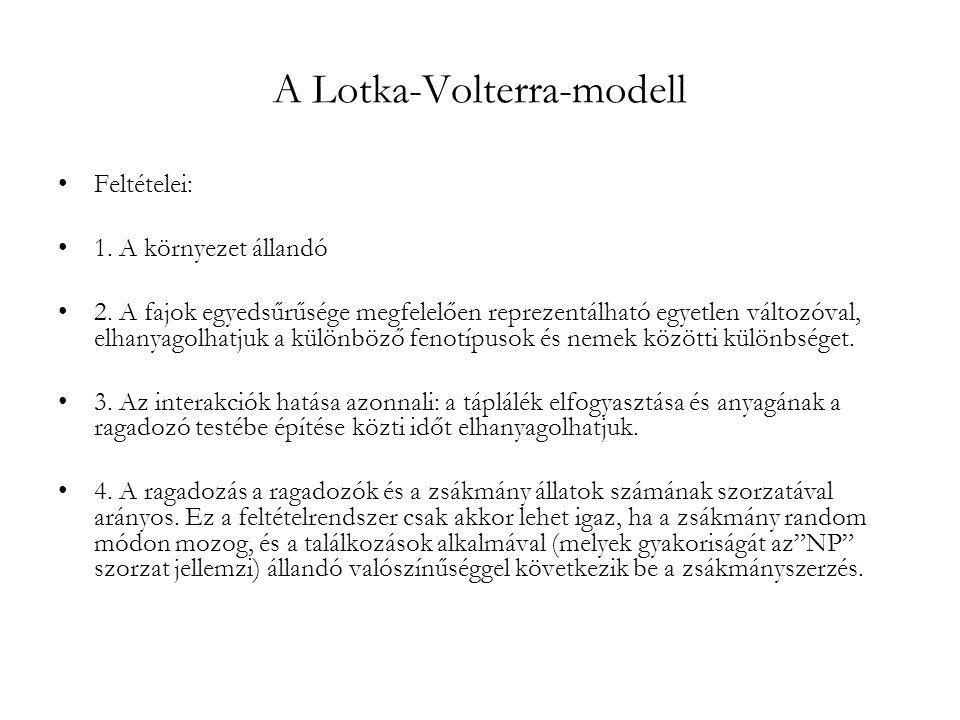 A Lotka-Volterra-modell