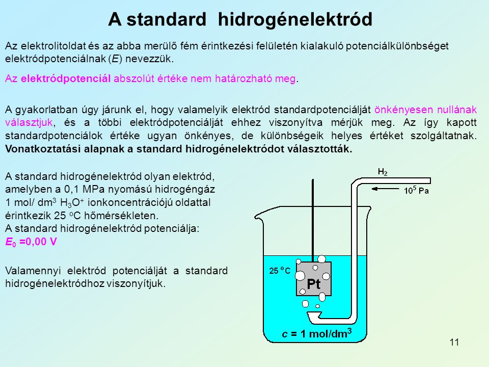 A standard hidrogénelektród
