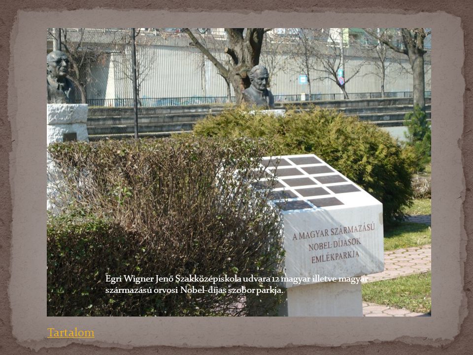 Egri Wigner Jenő Szakközépiskola udvara 12 magyar illetve magyar származású orvosi Nobel-díjas szobor parkja.