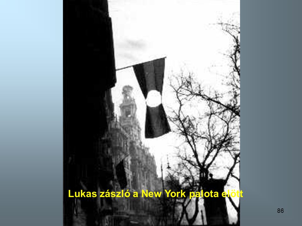 Lukas zászló a New York palota elött