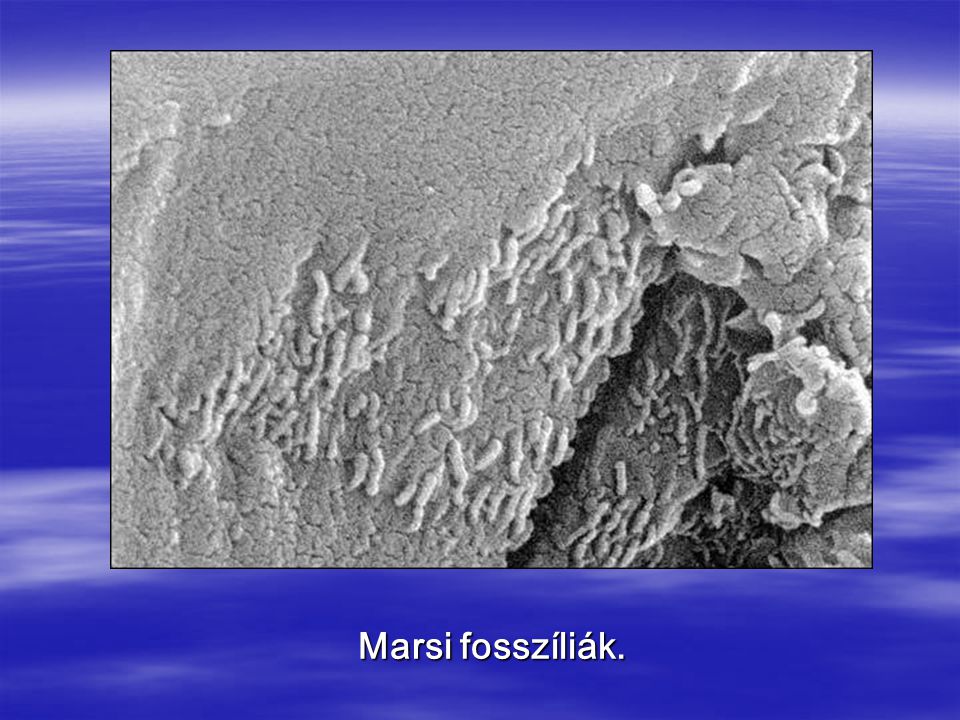 Marsi fosszíliák.