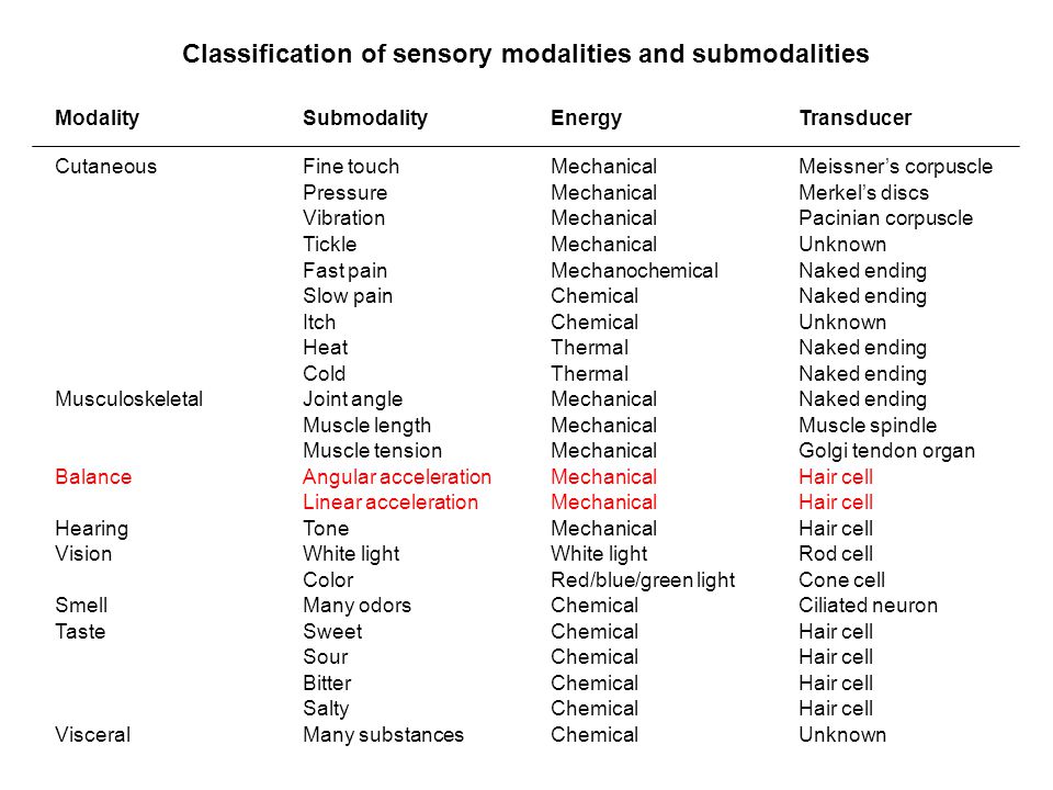 Classification of sensory modalities and submodalities