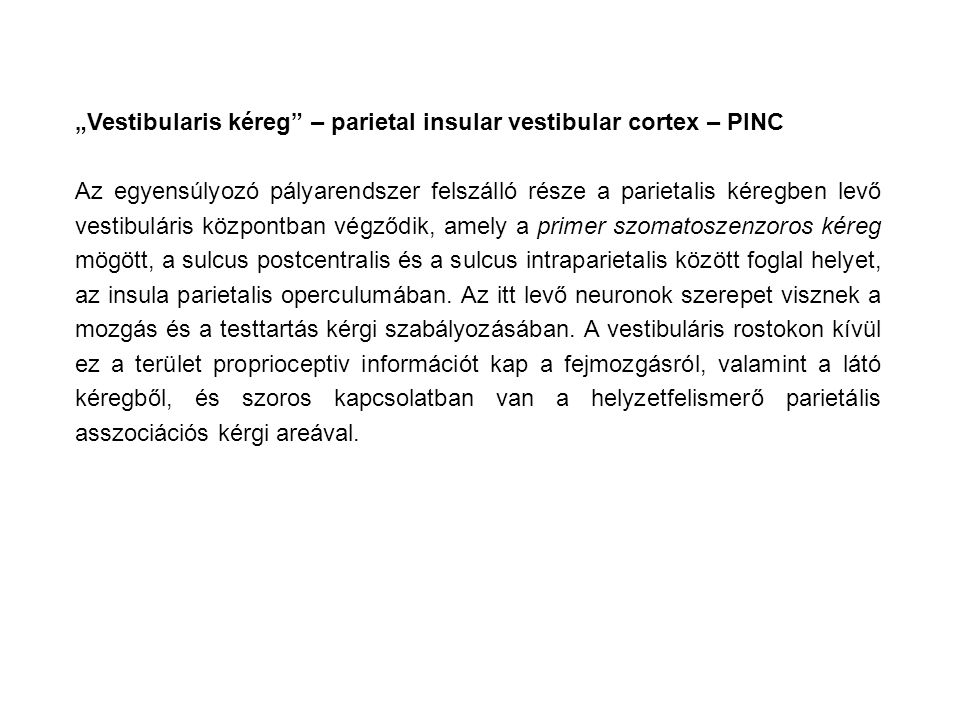 „Vestibularis kéreg – parietal insular vestibular cortex – PINC
