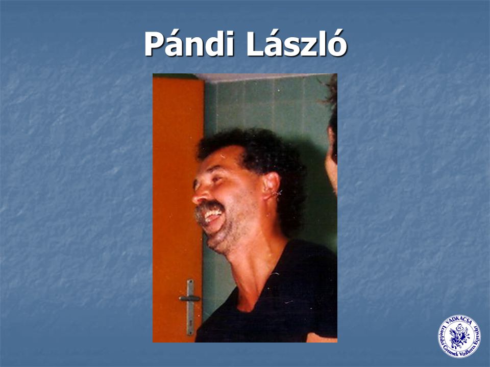 Pándi László