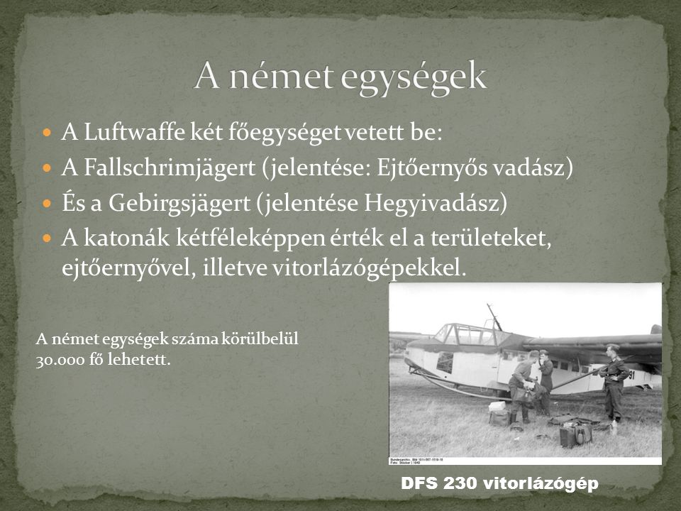 A német egységek A Luftwaffe két főegységet vetett be: