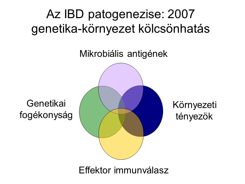 Az IBD patogenezise: 2007 genetika-környezet kölcsönhatás