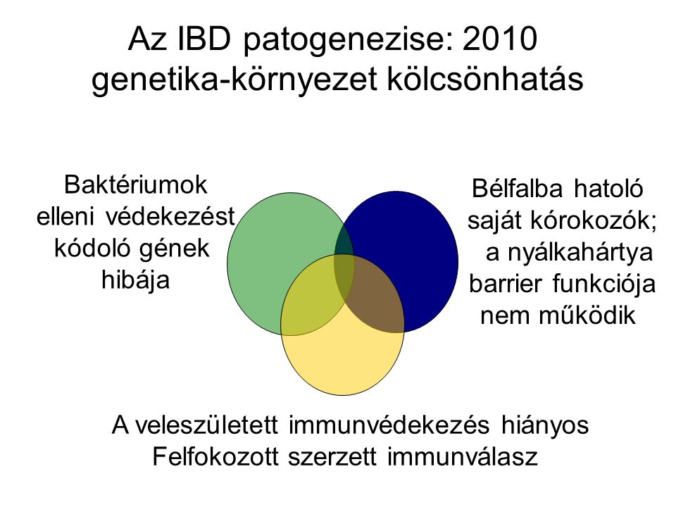 Az IBD patogenezise: 2010 genetika-környezet kölcsönhatás